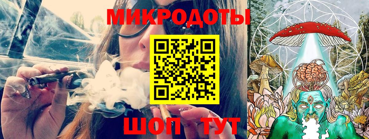 Псилоцибиновые грибы Psilocybe Унеча