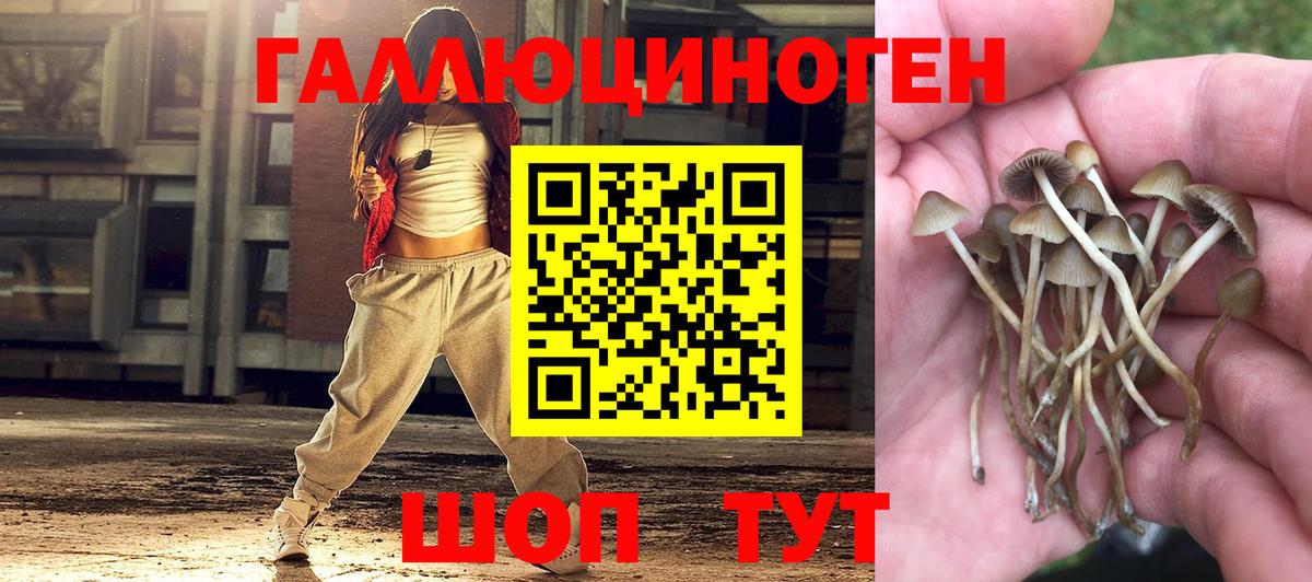 Псилоцибиновые грибы MAGIC MUSHROOMS  Галлюциногенные грибы Psilocybine cubensis  магазин продажи наркотиков  Унеча  Вход с VPN 